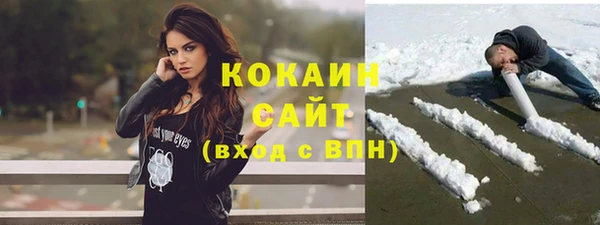 ПСИЛОЦИБИНОВЫЕ ГРИБЫ Абаза