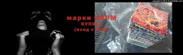ПСИЛОЦИБИНОВЫЕ ГРИБЫ Абаза