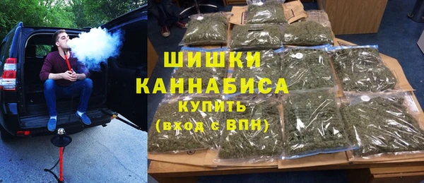 ПСИЛОЦИБИНОВЫЕ ГРИБЫ Абаза