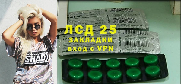 ПСИЛОЦИБИНОВЫЕ ГРИБЫ Абаза