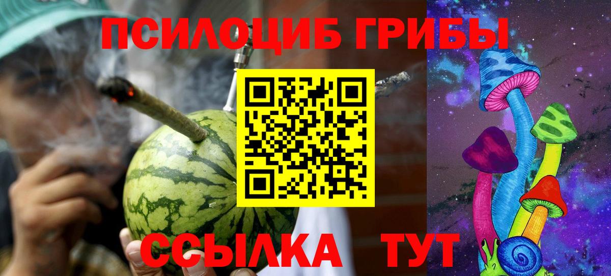 Галлюциногенные грибы Cubensis  Вход с VPN  где купить наркотик  Павловский Посад  Псилоцибиновые грибы MAGIC MUSHROOMS 