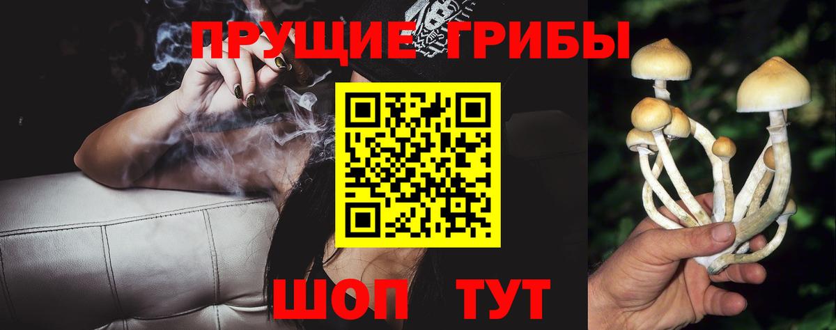 Галлюциногенные грибы прущие грибы Павловский Посад